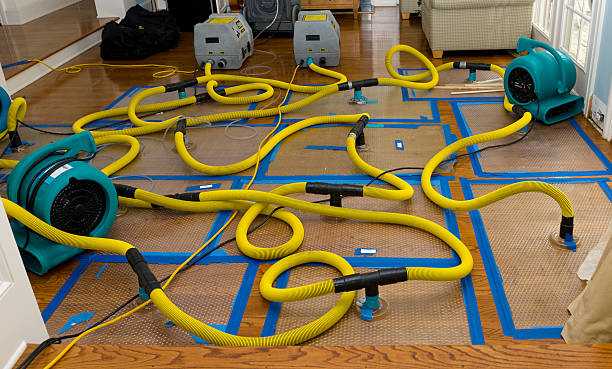 Professional Water Extraction technician working in Covington, IN